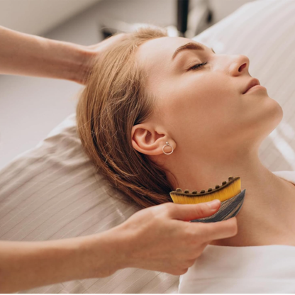 Lymph-Massagebürste